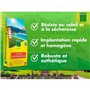 Gazon - BHS - Gazon Rustique Sud - 10kg - Résistant aux conditions seches grâce a la fétuque élevée. Rapide et homogene.