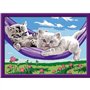 CreArt Kids 18x24cm Chatons dans le hamac, Kit de peinture par numéros Numéro d'Art, Des 9 ans, 25828, Ravensburger