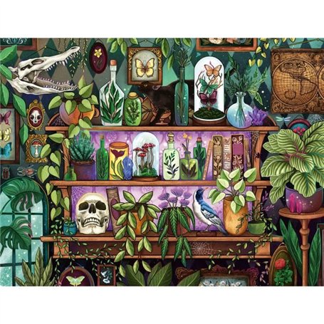 Puzzle 2000 pieces, Des 14 ans, Bibelots et objets de sorciere, Puzzle de qualité premium fabriqué en Europe, Plantes, 12001416