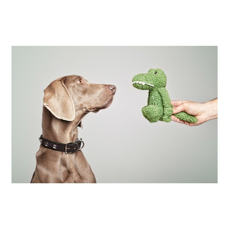 Image secondaire de Jouet pour chien Gloria Pinky Crocodile Vert