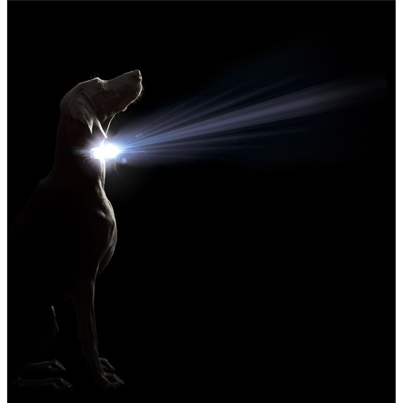 Image secondaire de Collier pour Chien Dog Gone Smart Noir L Lumière