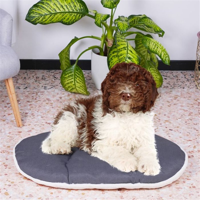 Image secondaire de Coussin - FERPLAST - RELAX 78/8 - 78 x 50 cm - Tissu et fourrure