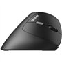 Souris - Sans fil - Rapoo - EV250 - Noir