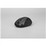 Souris - Sans fil - Rapoo - M500 Silent - Noir