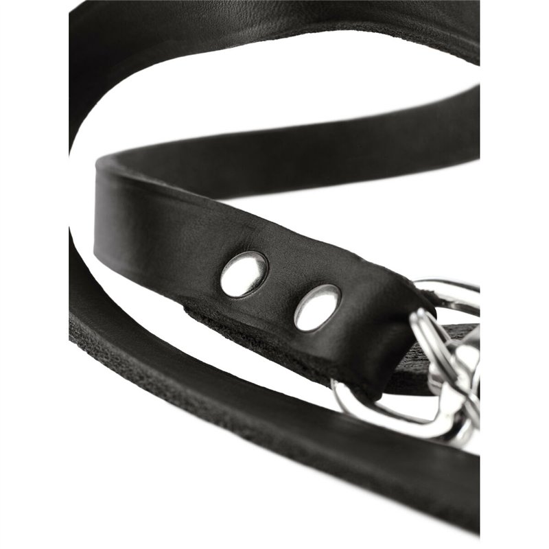 Image secondaire de Laisse pour Chien Hunter Noir 200 cm