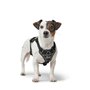 Harnais pour Chien Hunter DIVO UP Noir S/M