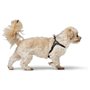 Harnais pour Chien Hunter SOHO MINI Noir