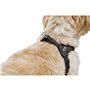 Harnais pour Chien Hunter SOHO MINI Noir XS/S