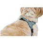 Harnais pour Chien Hunter SOHO MINI Bleu