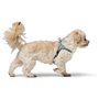 Harnais pour Chien Hunter SOHO MINI Bleu XS