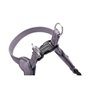 Harnais pour Chien Hunter SOHO MINI Lila