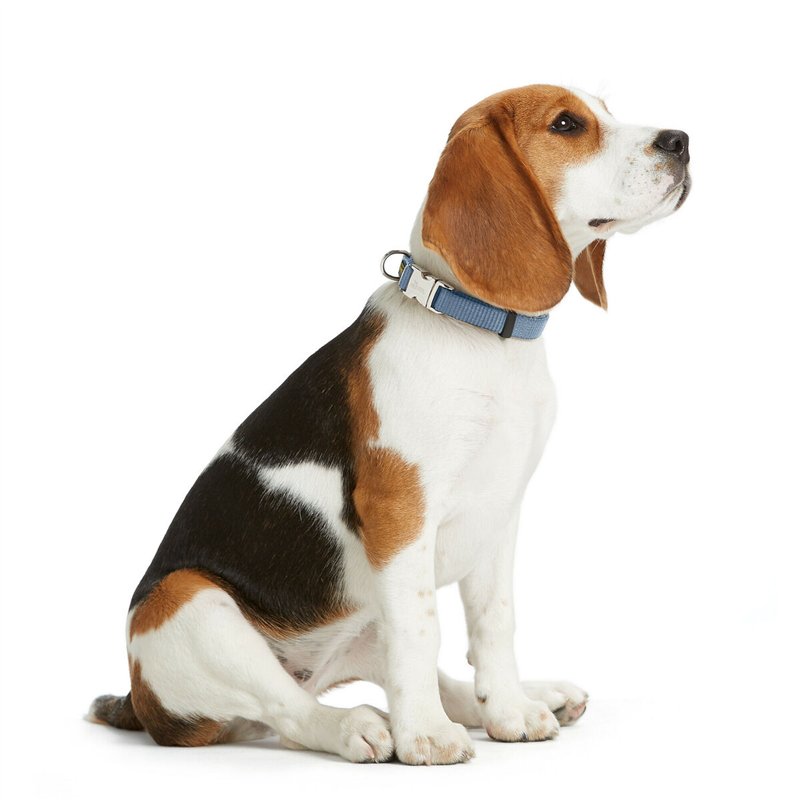 Image secondaire de Collier pour Chien Hunter VARIO BASIC Bleu M 30-45 cm