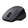 Souris sans-fil Xiaomi BHR9359GL Noir