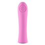 Mini Vibromasseur FemmeFunn Rose