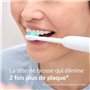 Lot de 6 Tetes de brosse - PHILIPS - HX6016/87 - C1 White