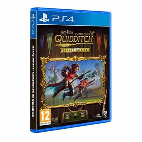 Jeu vidéo PlayStation 4 Sony Harry Potter Campeones de Quidditch