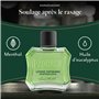 Proraso | Lotion après-rasage rafraîchissante (flacon de 100 ml) – Soin visage homme à l'huile d'eucalyptus et au menthol – Aide