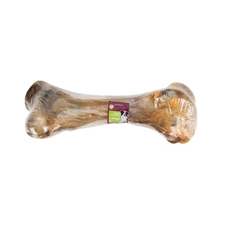 AIME Fémur de Bœuf pour Chien