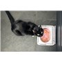 Sure PetCare | Bol hermétique pour Chats et Petits Chiens SureFeed, Couvercle activé par Le Mouvement, pour Aliments humides et 