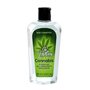 Nuei Oh Holy Mary Cannabis Crème Crème Vert 100 ml