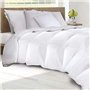 IDMarket - Couette 220x240 CM AELA en Plume d'oie Anti acarien 500 GR + 2 oreillers
