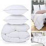 IDMarket - Couette 220x240 CM AELA en Plume d'oie Anti acarien 500 GR + 2 oreillers