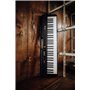 Casio CT-S200 Clavier 61 touches dynamiques, polyphonie 48 notes, 400 sons, 77 rythmes, 60 morceaux, mode Dance Music Voice Noir