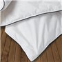 IDMarket - Couette 220x240 CM AELA Blanche en Plume d'oie Anti acarien 500 GR