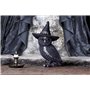 Nemesis Now Cult Cuties Owlocen Grande Figurine de Chouette en résine Noir 30 cm