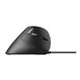 Rapoo EV200 Souris Droitier USB Type-A Optique 1600 DPI