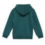 PUMA Ess+ 2 Col Big Logo Hoodie FL B Sweatshirt, Malachite, 140 Mixte bébé