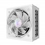 GIGABYTE AORUS Elite P1000W Ice Alimentation - PCIe 5.0, 80 Plus Platinum, Conception entièrement modulaire, Ventilateur de 120 