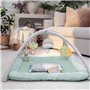 INGENUITY Tapis d'éveil au sol bébé Calm Spring Extra moelleux 6 jouets mutil sensoriels détachable