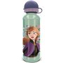 Bouteille d'eau Frozen Alta Frozen Snowy Tale Aluminium 530 ml