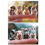 Puzzle Educa Baby Animals (2 Unités)