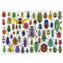 Puzzle Educa Beetles