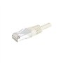 Dexlan Cordon reseau patch RJ45 SSTP CAT 6 1 m