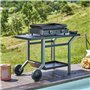 Forge Adour Plancha gaz 5000w plaque fonte émaillé 57.5x37.9cm baseg60a, Noir