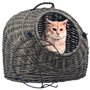 vidaXL Cage de Transport pour Chats Gris 50x42x40 cm Saule Naturel
