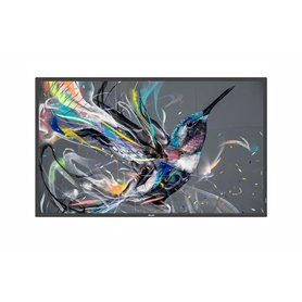 Dis Public 86 Philips 86BDL3650Q/00 Q Line