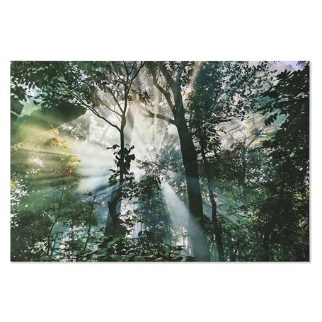 Cadre Home ESPRIT Vert Imprimé 150 x 0