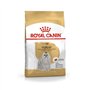 Royal Canin Maltese Adult | 500 g | Croquettes pour Maltais Adultes | pour Soutenir Le Pelage et la Digestion | pour Les Chiens