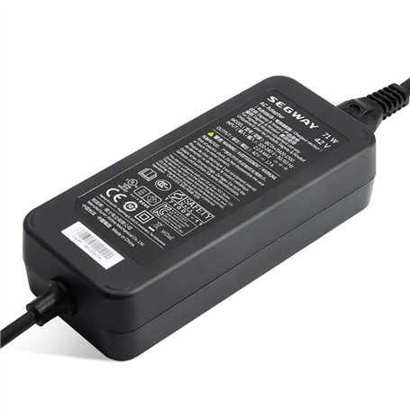 Segway - Chargeur de Batterie pour Scooter électrique - Indicateur LED - Charge Plus Rapide