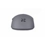 Dream Machines DM1 FPS Smoke Grey Souris Gaming - RGB, Dunkelgrau,