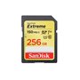 SANDISK - Cards Extreme Plus Carte mémoire SDHC 256 Go 190 Mo/s 130 Mo/s Classe UHS-I