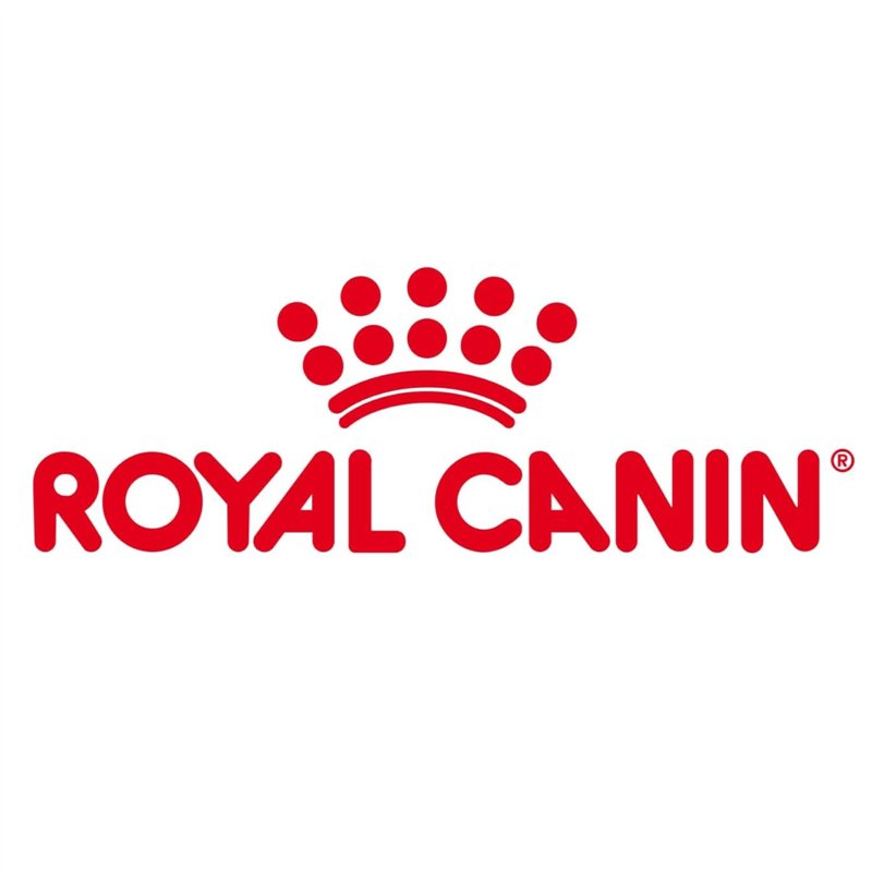 Image secondaire de Royal Canin Mini Adult | 4 kg | Aliment Complet pour Chiens de Petites Races | Acides Gras oméga-3 pour la Peau et Le Pelage | T