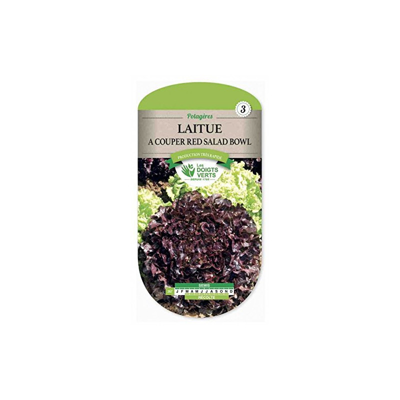 LAITUE Bowl Rouge