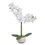Atmosphera - Orchidée Artificielle clera h52cm Blanc