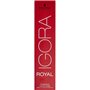Schwarzkopf - ROYAL IGORA 60 ml 7-00