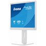 iiyama Moniteur de Bureau, B1980S-W1-19, TN, 1280 x 1024/75 Hz, 1H1DP, Has